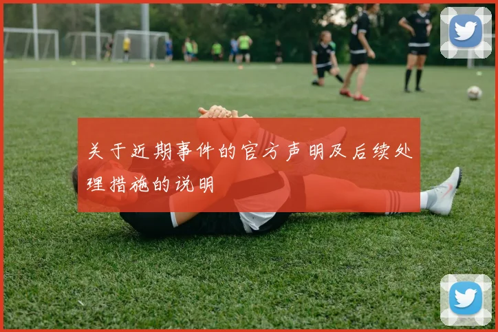 关于近期事件的官方声明及后续处理措施的说明