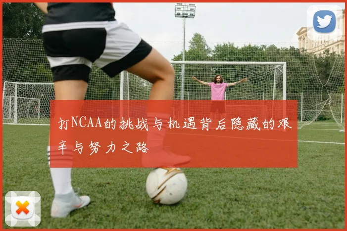打NCAA的挑战与机遇背后隐藏的艰辛与努力之路