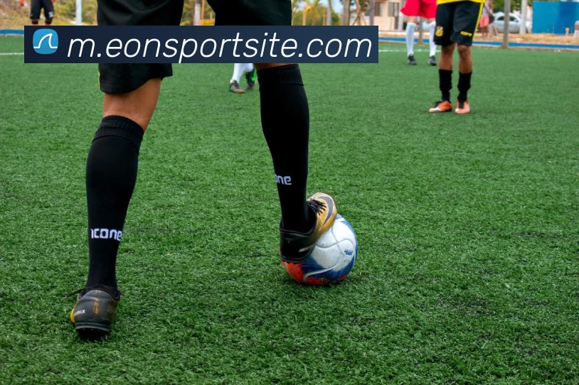 意昂体育平台生态图